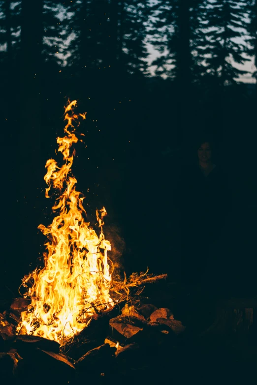 a fire burning in the dark in front of a row of trees