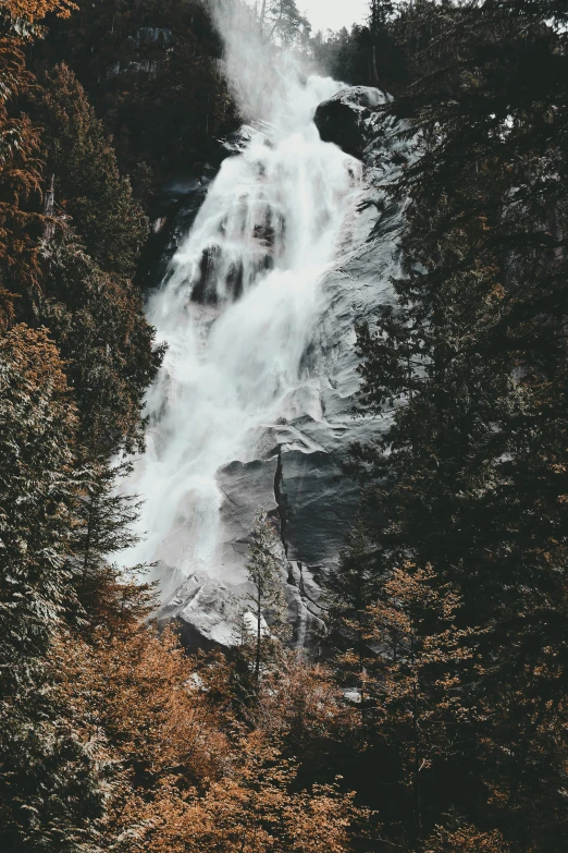 a small waterfall in the middle of some trees