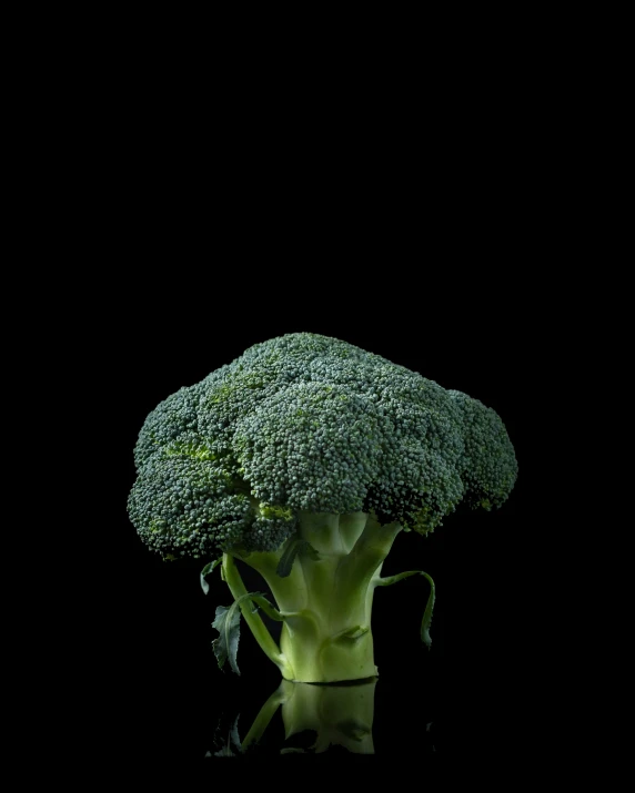 a very big broccoli on a black surface