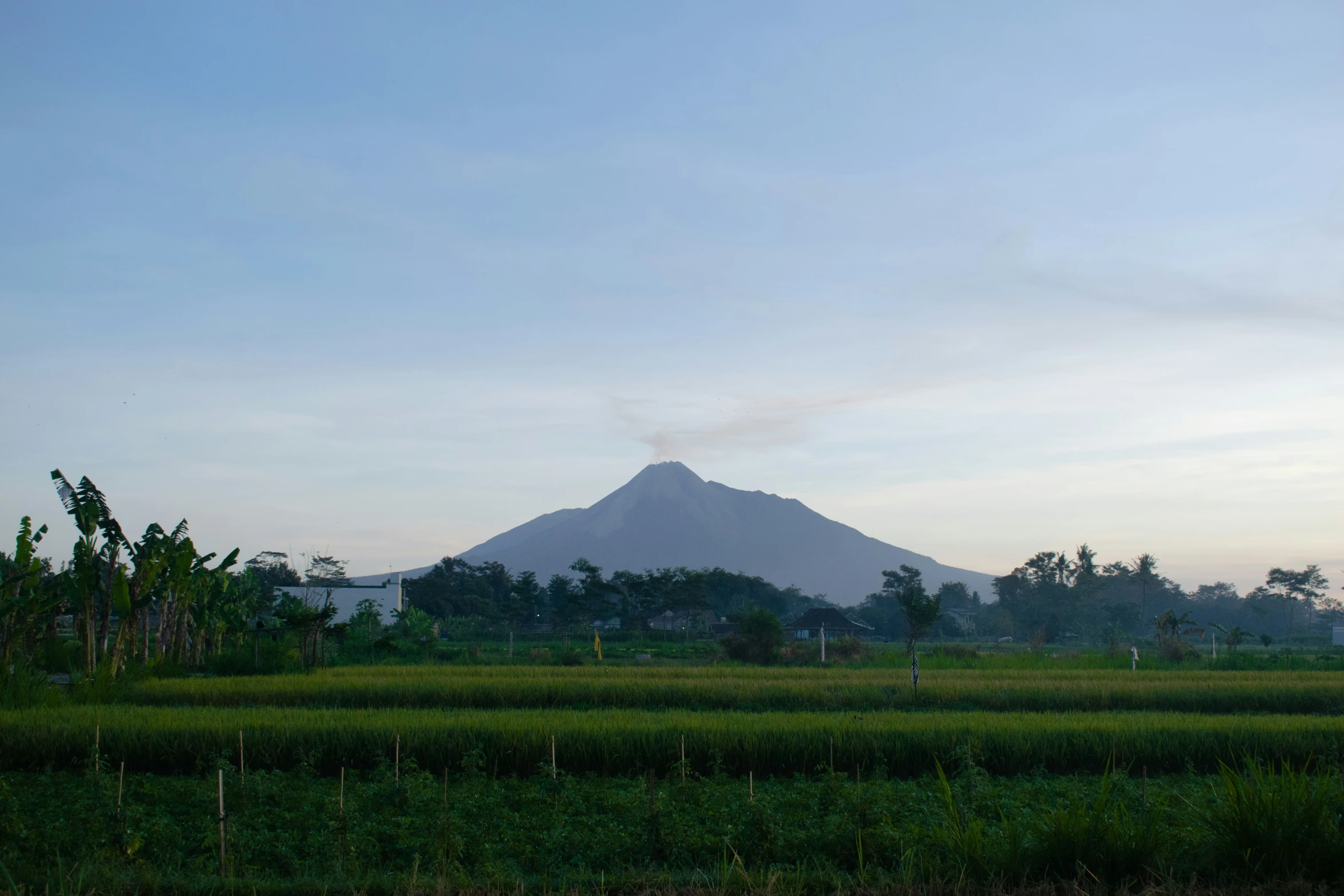 a po of a huge mountain rising over some land