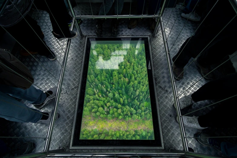 the large glass table has been decorated with plants and animals
