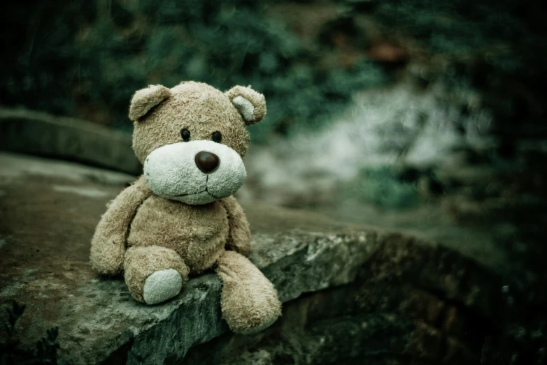the teddy bear is on a rock outside