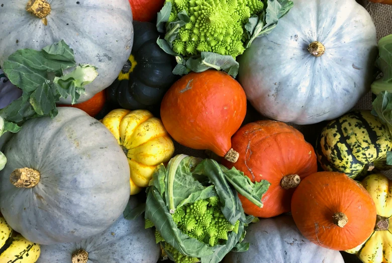 a pile of different kinds of pumpkins and squash