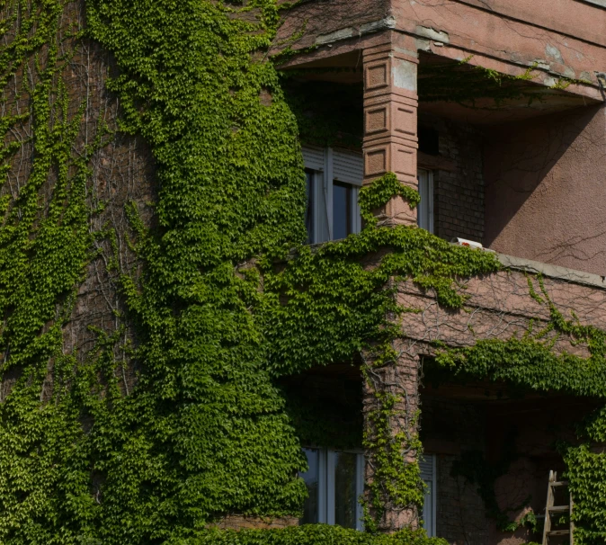 a building covered in green ivy and vines