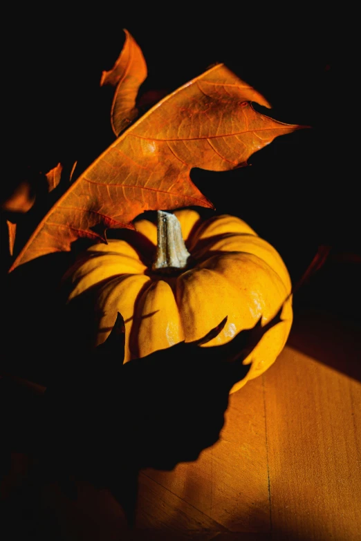 a squash with a black and yellow background