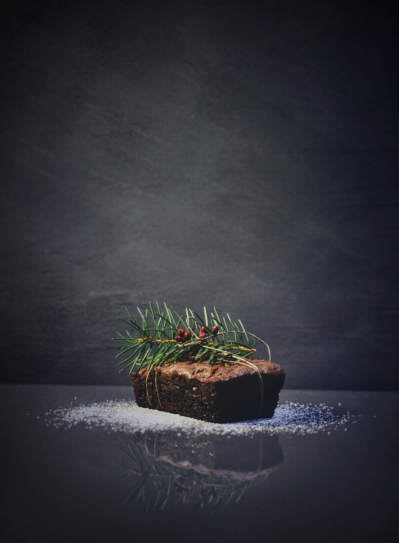 a potted plant in water on a dark surface