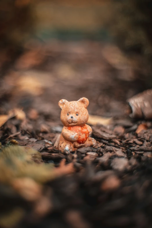 there is a small teddy bear that is sitting on the ground