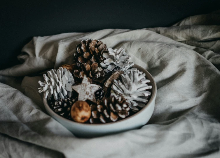 small bowl with white pine cones on linen