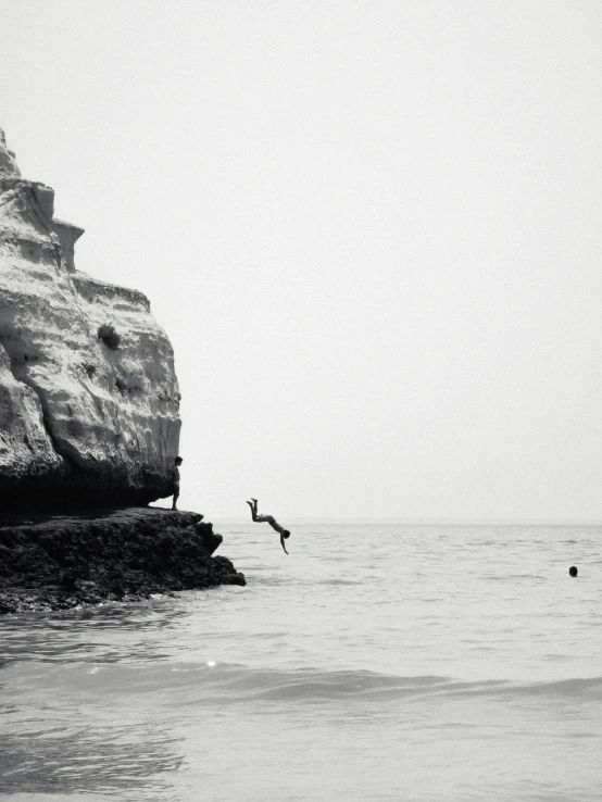 a couple of birds sitting on top of rocks near the water