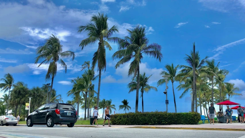 cars parked in the parking lot and palm trees lining the street