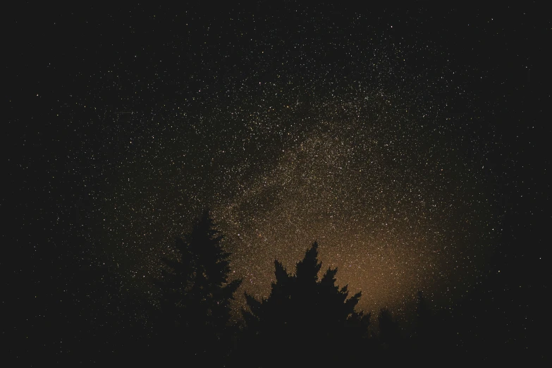 the night sky has tiny stars as well as a silhouette of trees