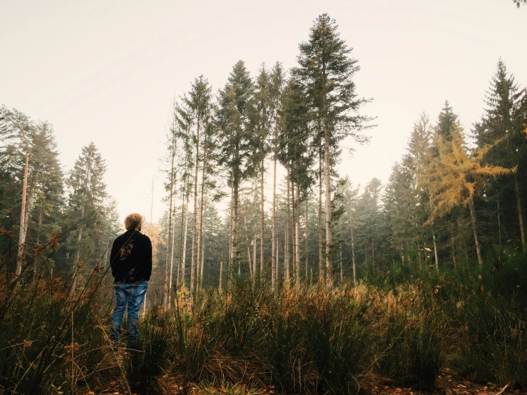 a person standing on a lush forest with trees in the background