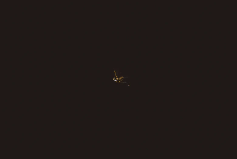 a small bird flying through the dark night sky