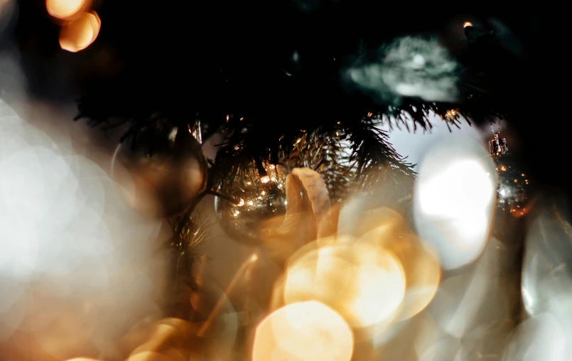 blurry pograph of a dark tree with lights on it