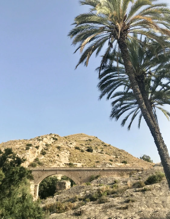 a train traveling over an old bridge on a road