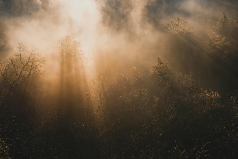 sunlight shining through the clouds over a treeline