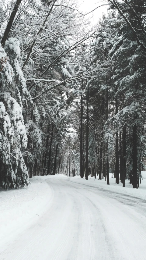 a snow covered street in front of trees