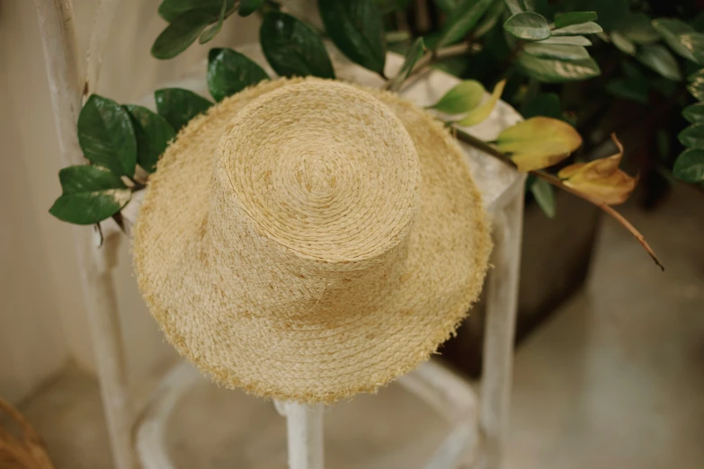 the hat is placed on a white stand next to green leaves