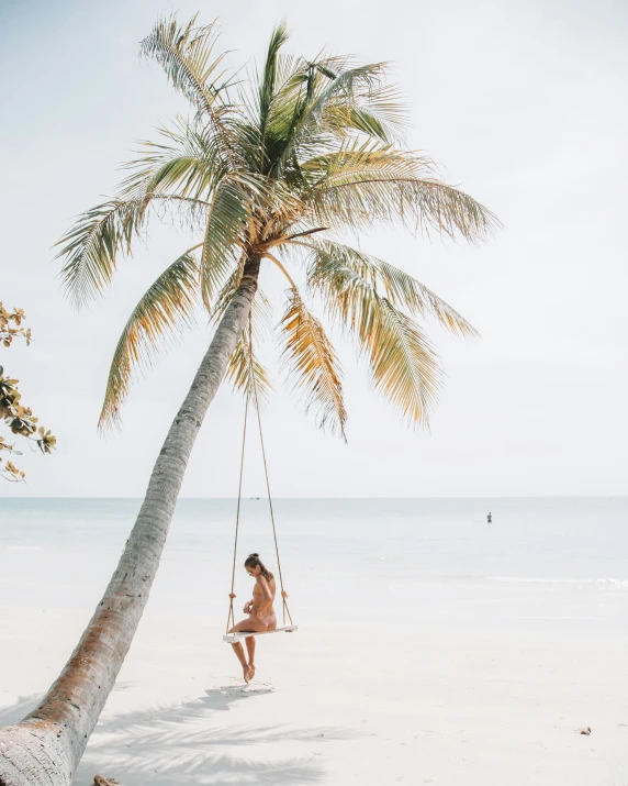 a woman in a bikini sitting on a swing under a palm tree