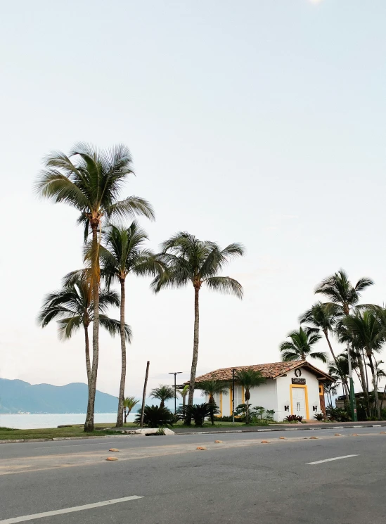 palm trees on the corner of a street in front of a house