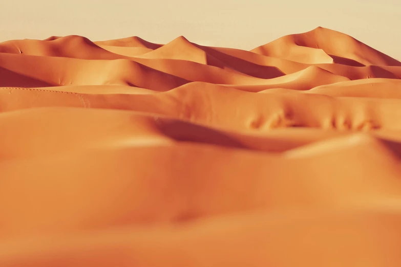 a desert scene with an orange tone color scheme