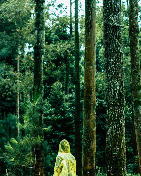 a small statue of a man in a forest