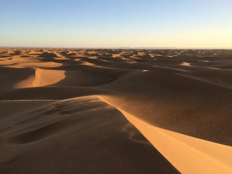 several desert dunes at sunrise with a small tree in the distance