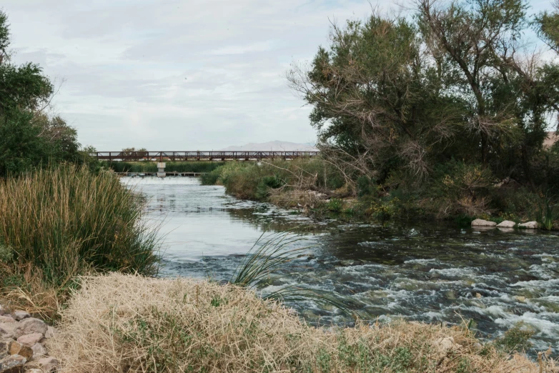 a river that has a bridge in it