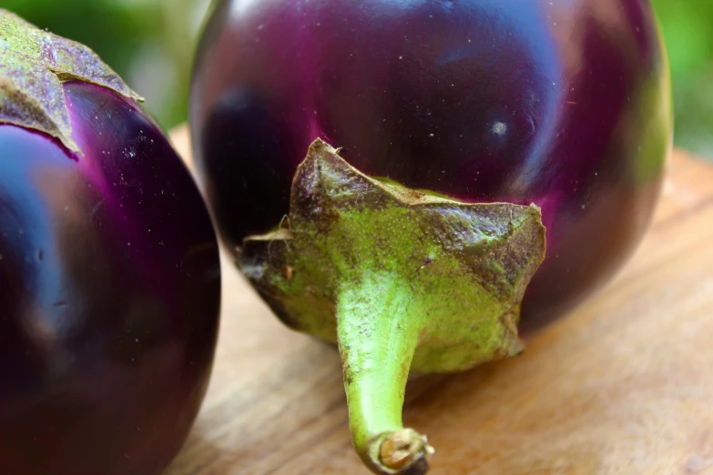 a close up s of two dark colored eggplant eggs