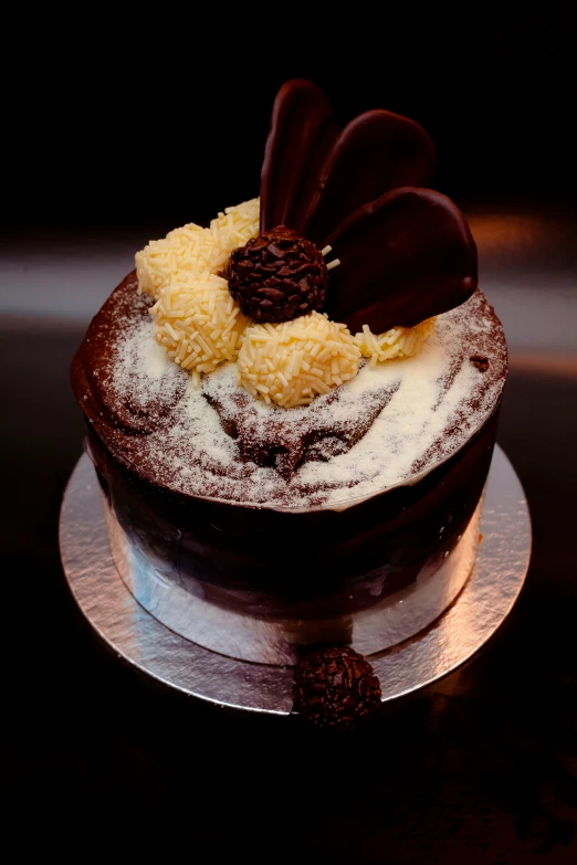 a small chocolate cake on a plate sitting on a table