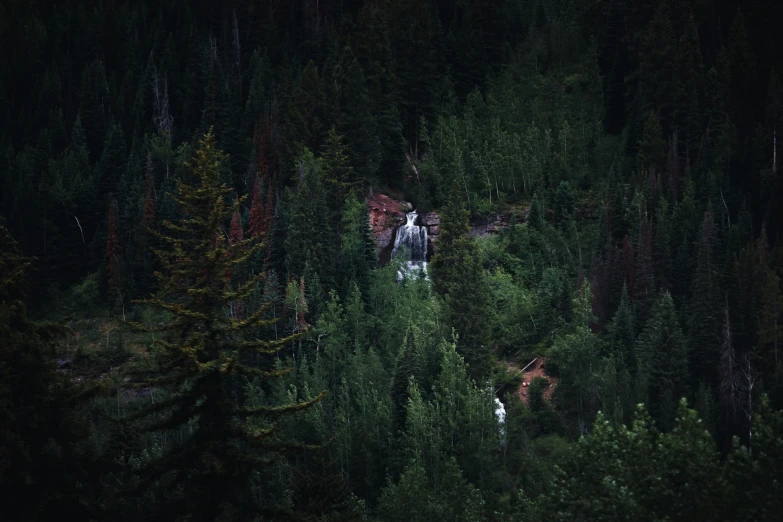 a tree covered hillside and water falling into the forest