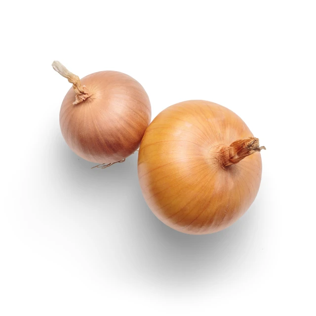 two onions that have been turned brown are seen in the top view