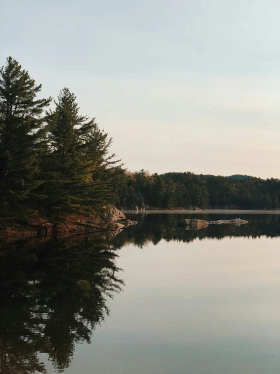 two people are on the shore of a lake in the woods