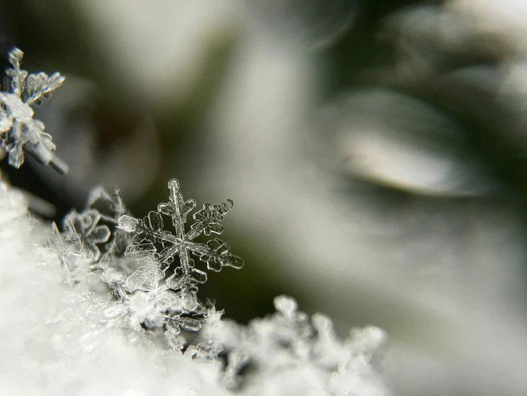 a snow flakes with snowflakes on it