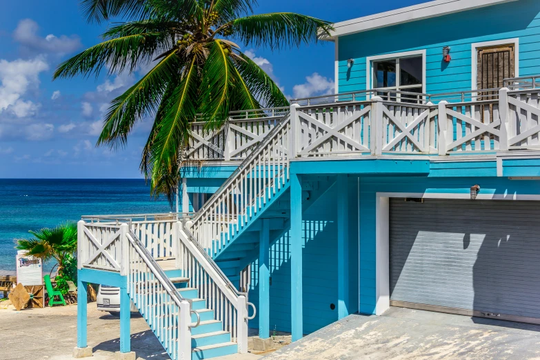 a palm tree sitting in front of a blue building