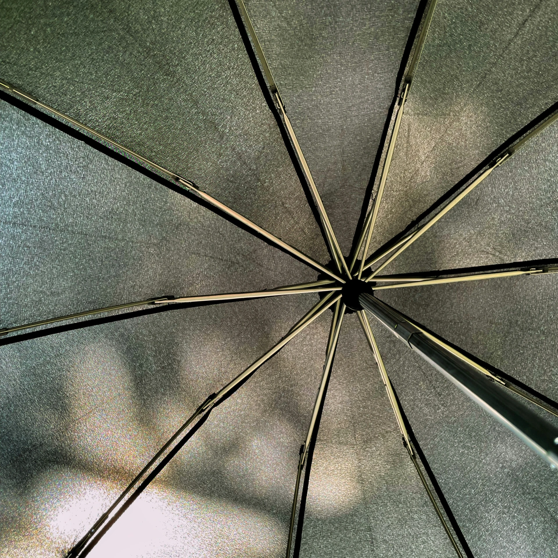 an umbrella view of its inside and outside