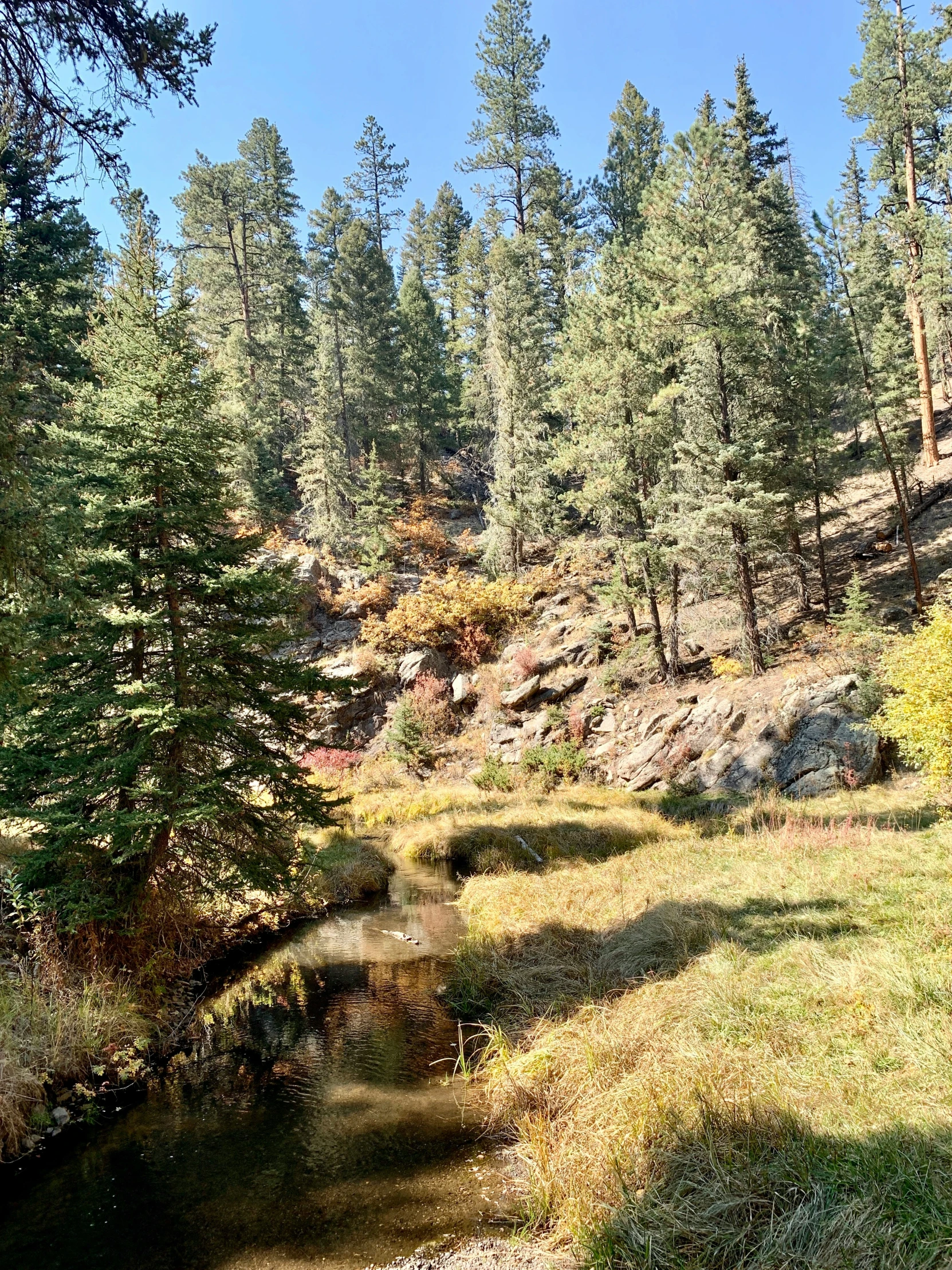 there is some water running next to the road