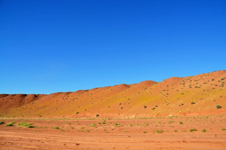 a lone horse is standing on top of a mountain