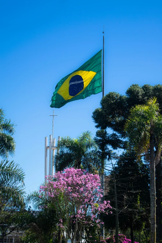 a yellow and green flag is flying from a tall pole