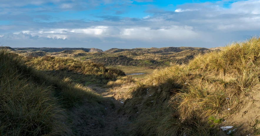 the view of a long dirt path through a dry grass field