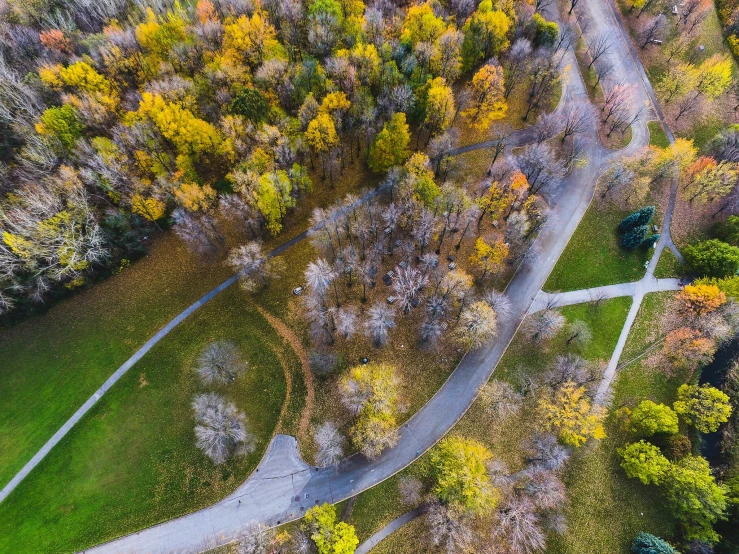 the aerial view shows roads, trees and other plants