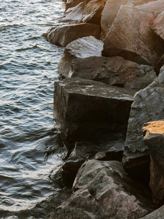 there is a big log that is sitting on the rocks near the water