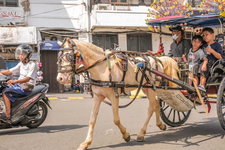 an open carriage is driving down the street