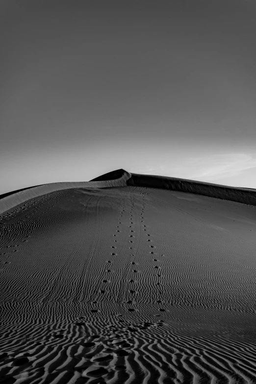 a black and white po of sand dunes