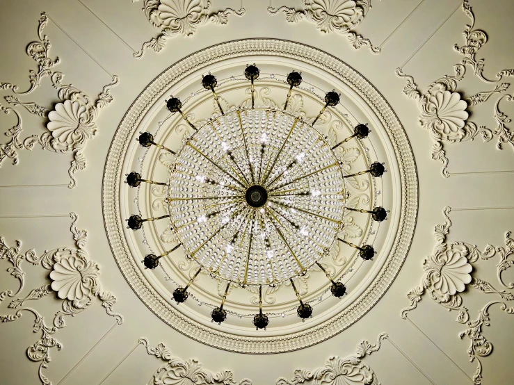 the center piece of an ornate wallpaper in the ceiling