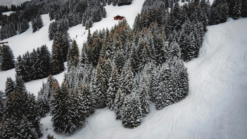 a snow covered landscape in the wilderness with evergreen trees