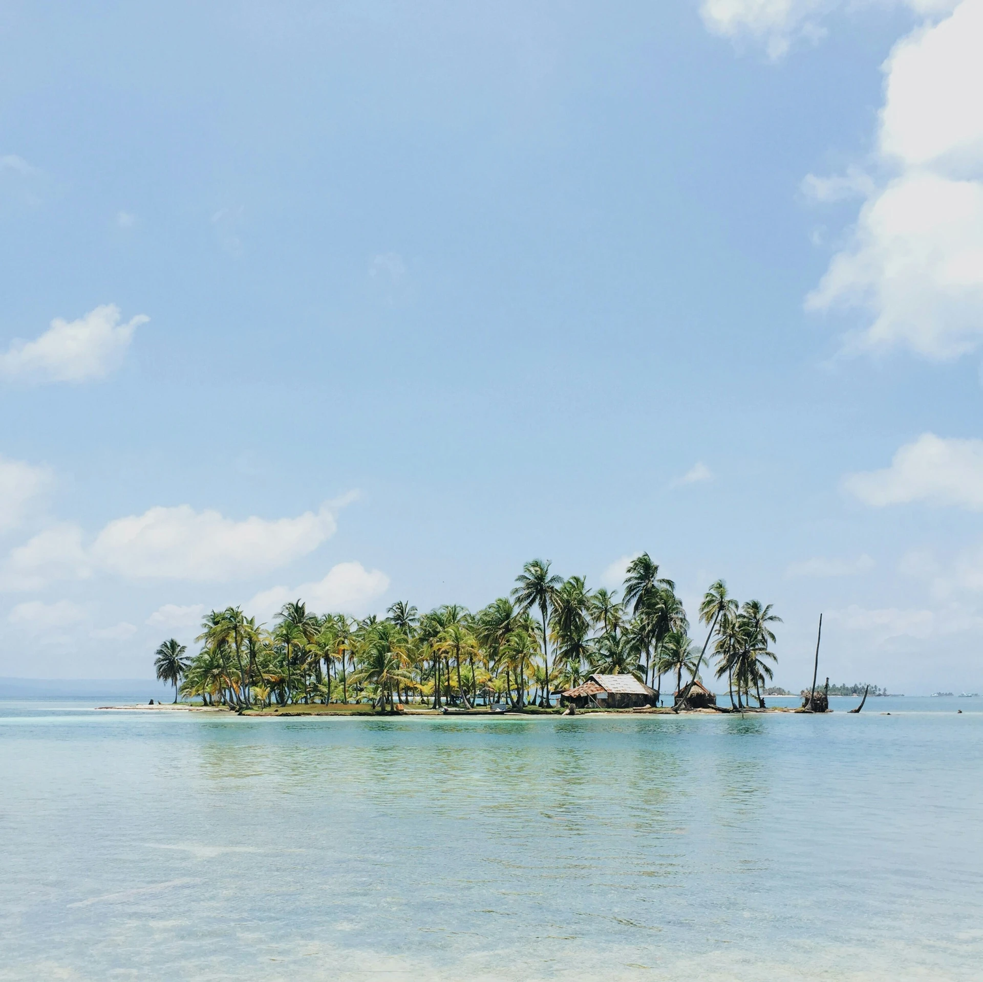 the island is surrounded by palm trees and has many small houses