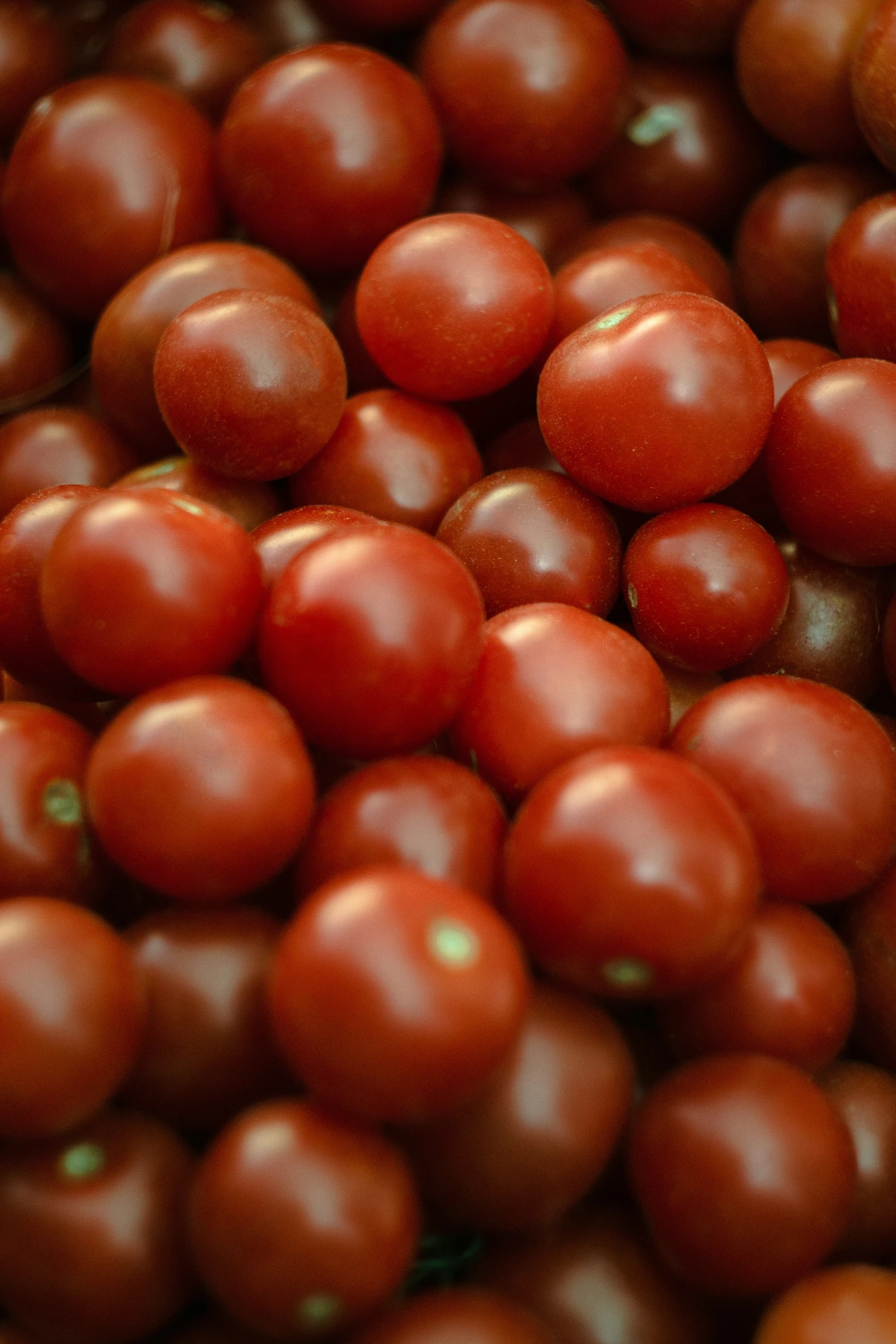 tomatoes are gathered together in a pile