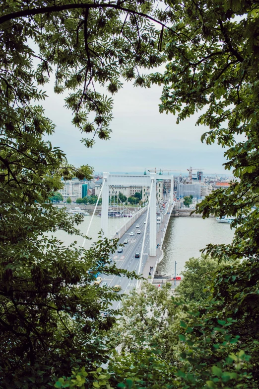 there are many bridges that go on the river