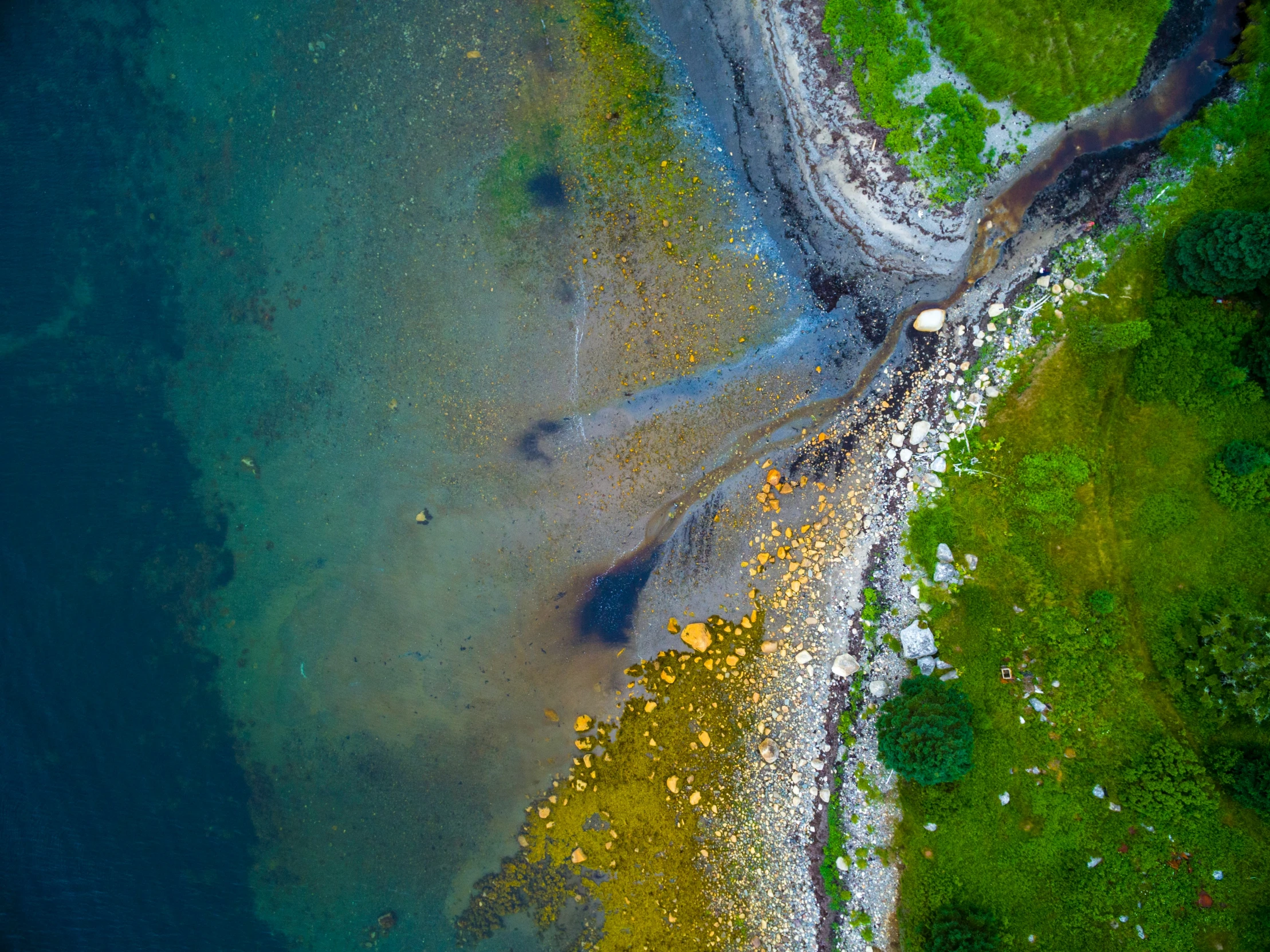 a beach and a body of water seen from above